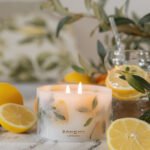 Amalfi Coast Scented Small Pillar Candle from the Bahoma Botanical Collection. Candle set on a wooden bench with a jug of lemonade in the background and fresh slices of lemon.