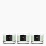 Primrose & Amberwood – Set of 3 Compact Candles in Gift box | Alchemy Collection - Product picture